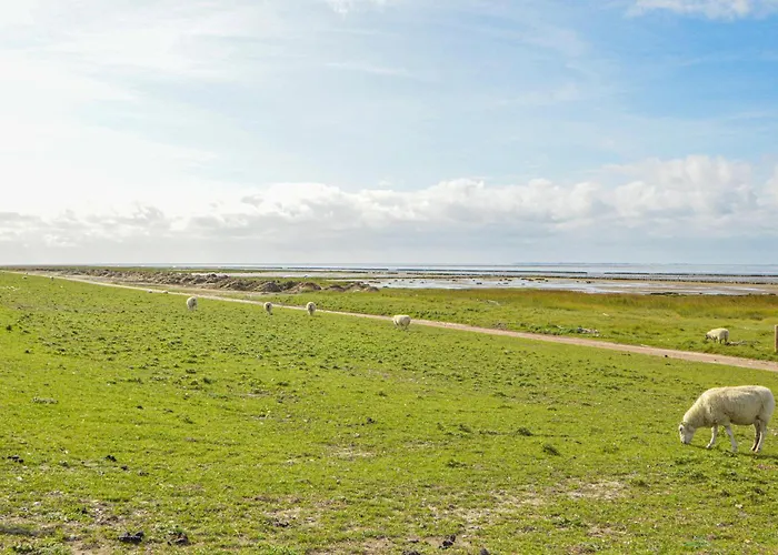 3 Bedroom Stunning In